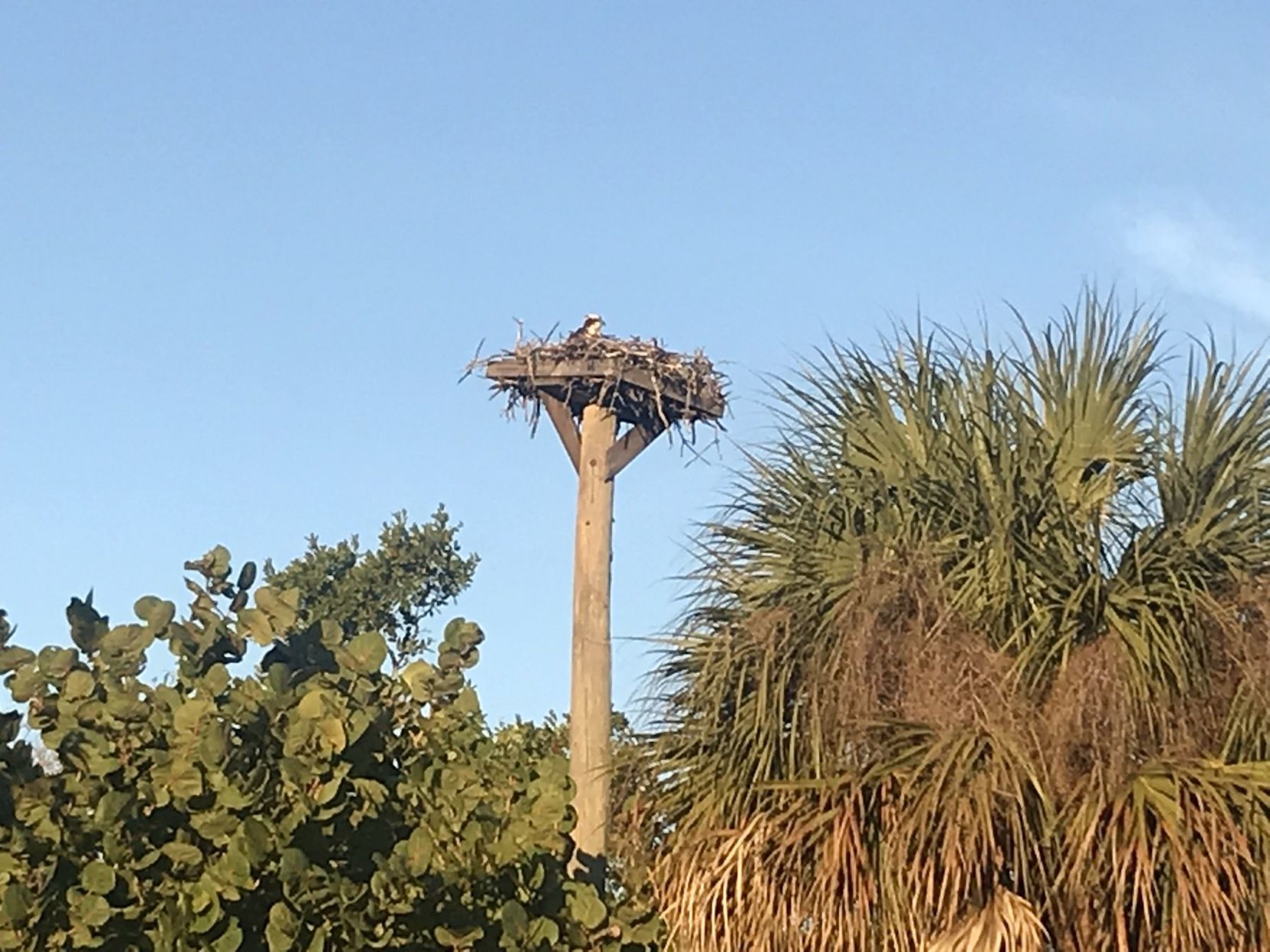 Travel to Sanibel